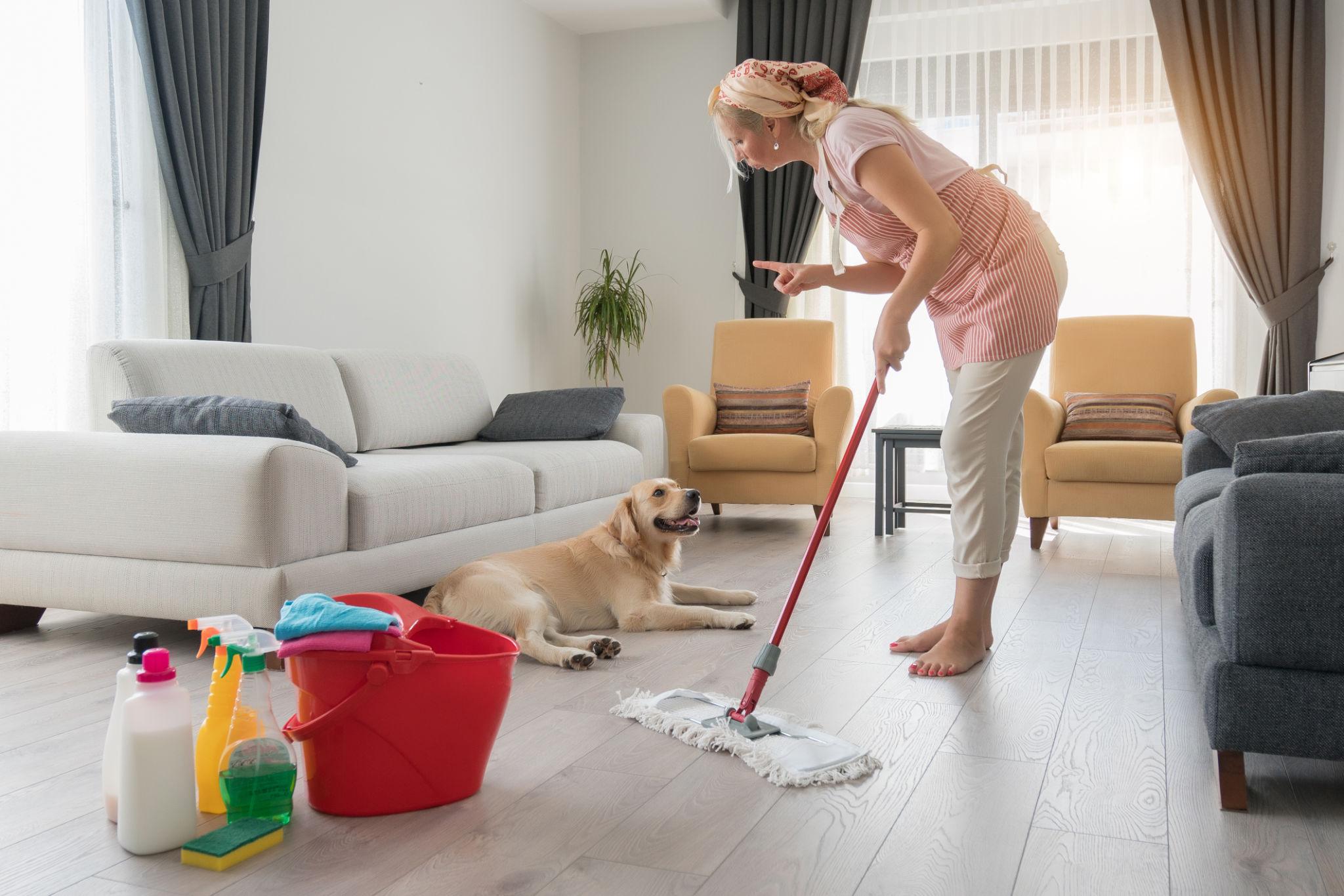 How Often Should You Remove Pet Hair? Easy Cleaning Routine