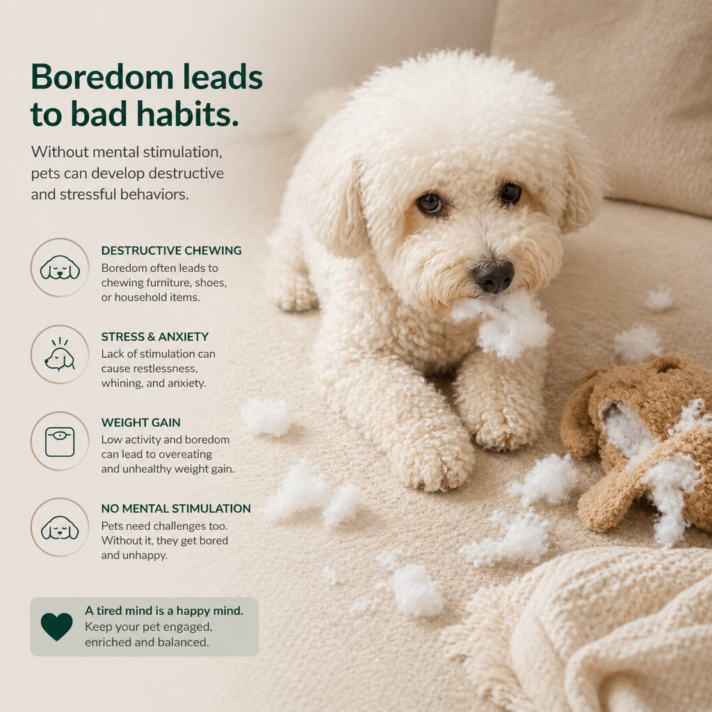 FurFix™ – Pet Sniffing Mat Chew Resistant Plush Toy